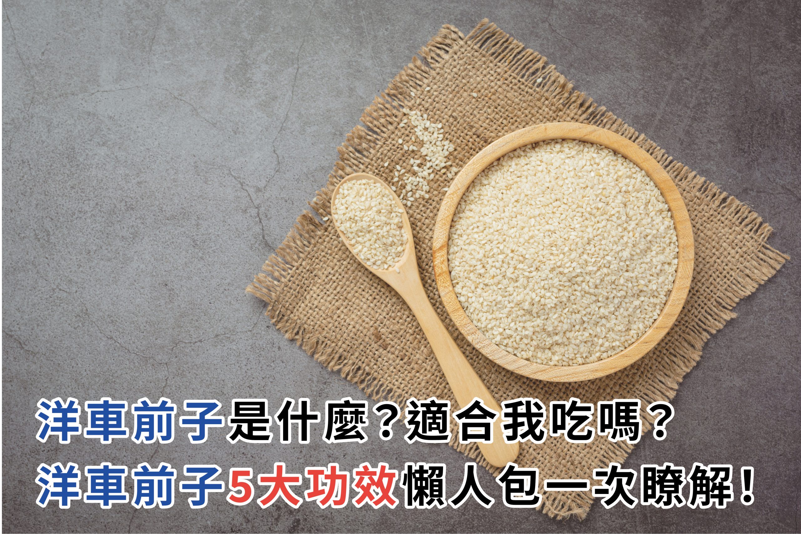 洋車前子是什麼？適合我吃嗎？洋車前子5大功效懶人包一次瞭解！ | 臣鋐生技有限公司
